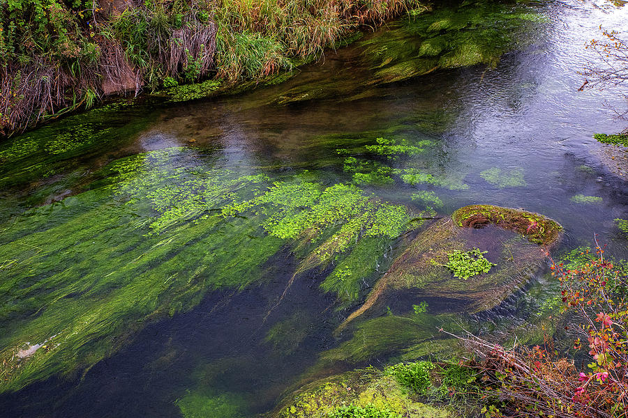 Magic of a Calm Current by Alex Galkin Magic of a Calm Current by Alex Galkin