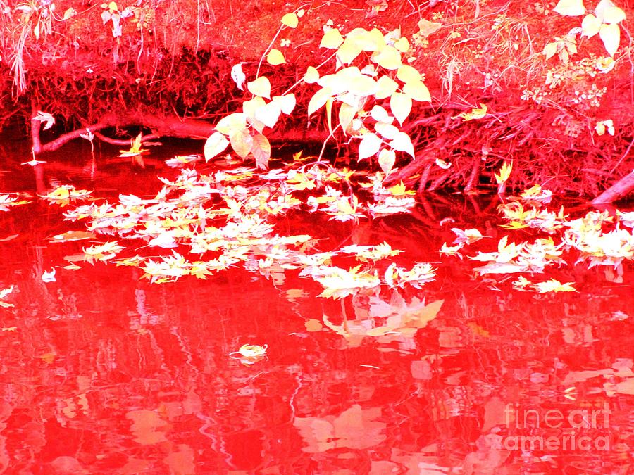 Magic of Red Photograph by Sybil Staples