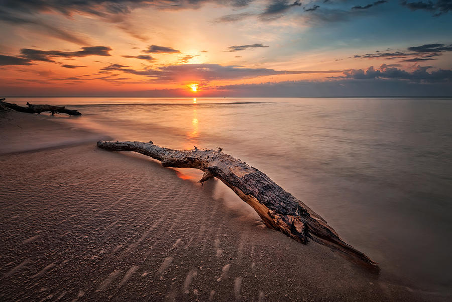 Nature Photograph - Magic sunrise by Evgeni Ivanov