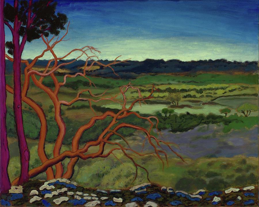 Magic Trees of Wimberley Painting by Vera Smith