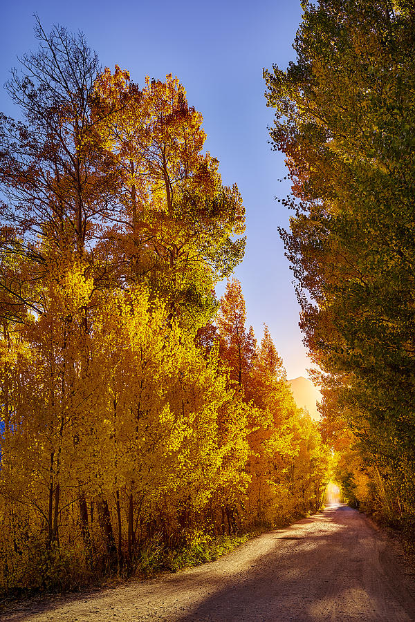 Magical Aspen Sunset, Boreas Pass Photograph by Matthew Wert - Fine Art ...