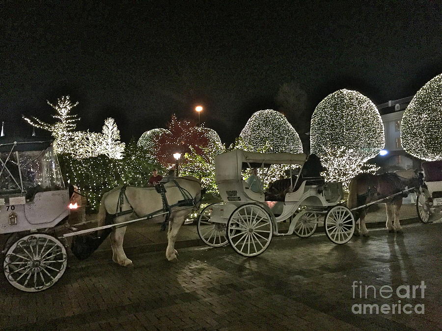 Carriage Ride Photograph - Magical Carriage Ride by Barbara Plattenburg