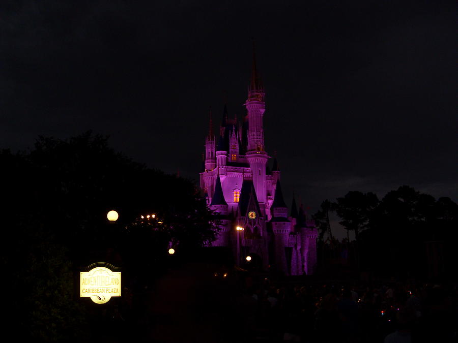 Magical Castle Photograph