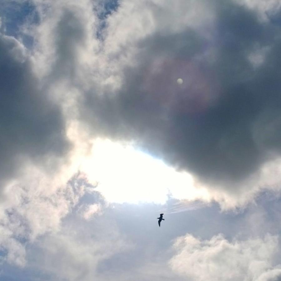 Bird Photograph - Magical #clouds Today :-) #sky #weather by Shari Warren