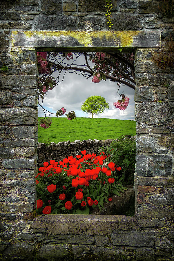 Ireland Photograph - Magical County Clare Countryside by James Truett Ireland Photograph - Magical County Clare Countryside by James Truett