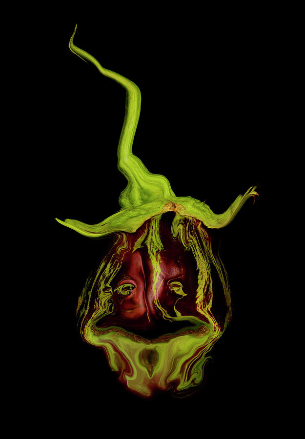 Magical Eggplant Digital Art by Robert Woodward