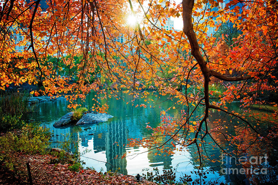 Magical Fall Photograph by Anna Serebryanik - Pixels