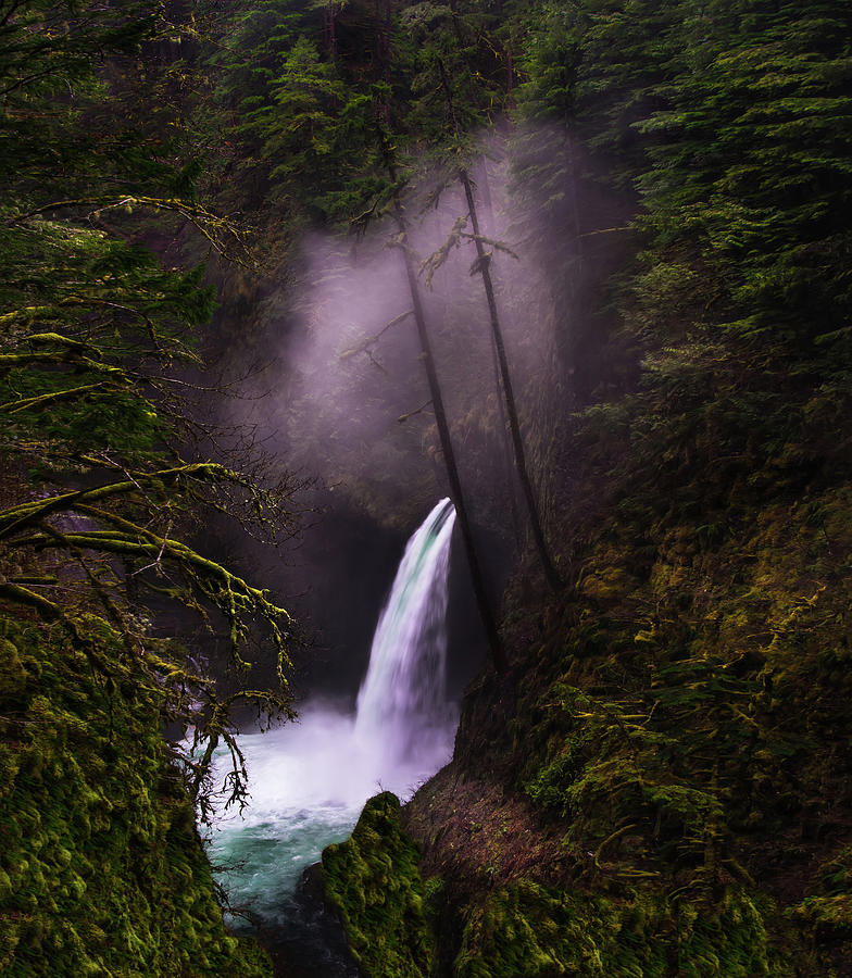 Tree Photograph - Magical Falls 2 by Larry Marshall