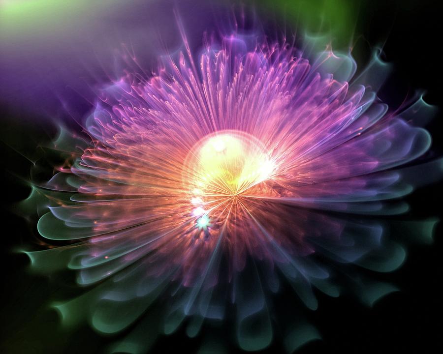 Magical flower 4 Digital Art by Lilia S