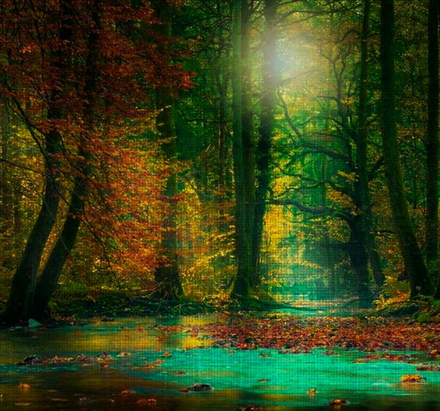 Magical Forest Digital Art by Digital Art Cafe