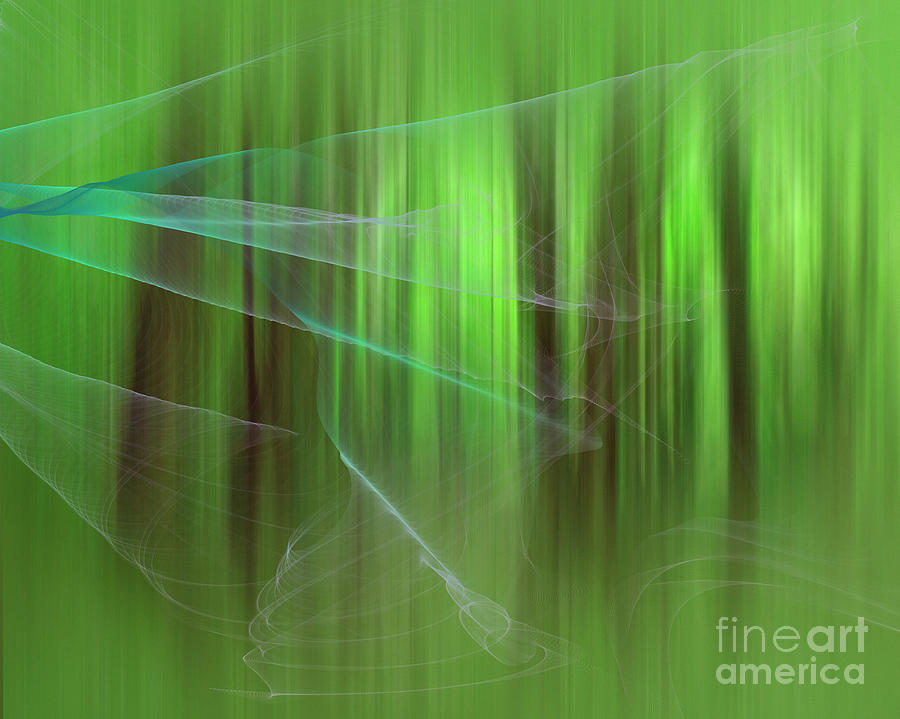 Magical Forest Digital Art by Edmund Nagele FRPS