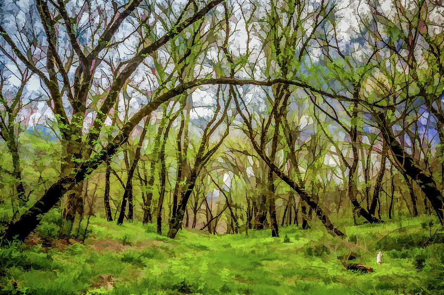 Tree Digital Art - Magical Forest II by Lisa Lemmons-Powers