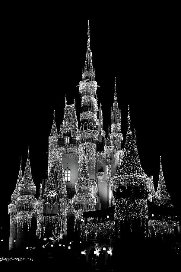 Magical in Black and White by WhiteoakorganicsLLC Gallery Magical in Black and White by WhiteoakorganicsLLC Gallery
