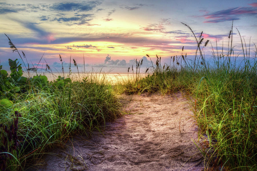 Magical Light in the Dunes Photograph by Debra and Dave Vanderlaan