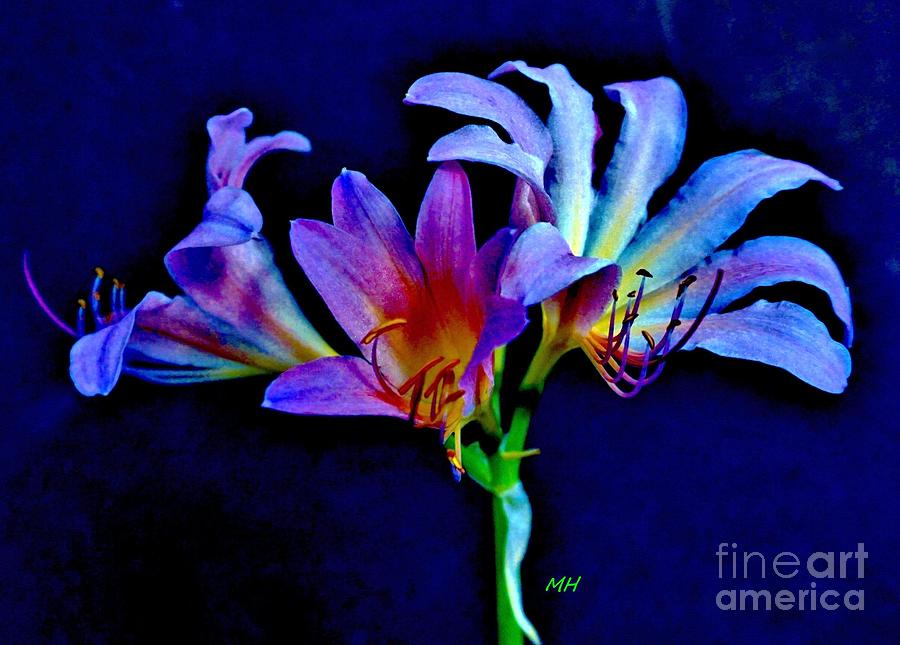 Flower Photograph - Magical Lilies by Marsha Heiken
