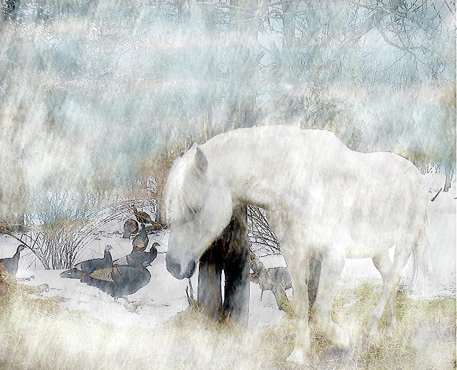 Winter Digital Art - Magical Moments On A Snowy Winters Day by Patricia Keller