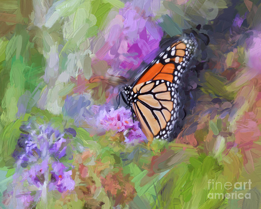 Magical Monarch Butterfly Photograph by Kerri Farley