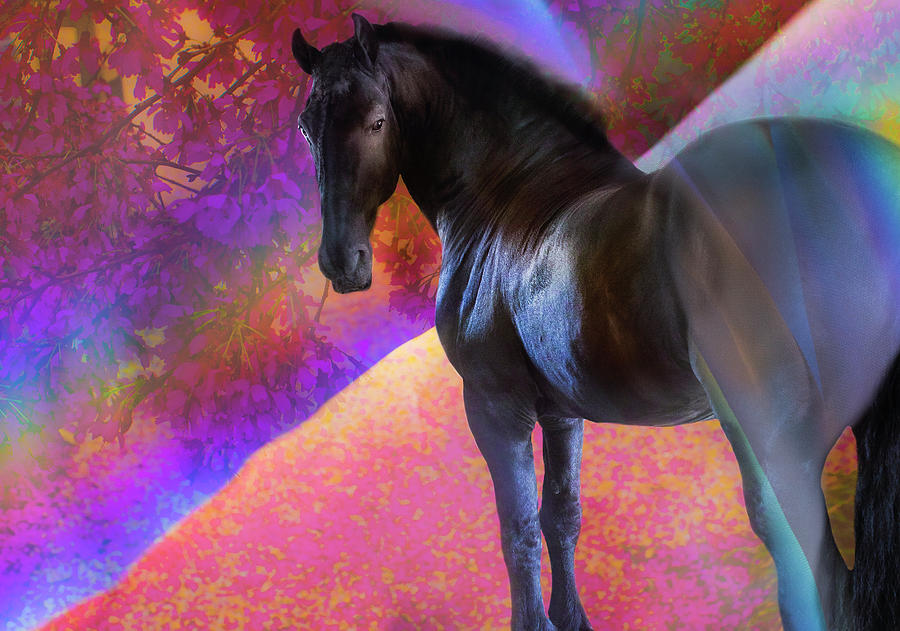 Blossoms Digital Art - Magical Monte by Annie Omens Blossoms Digital Art - Magical Monte by Annie Omens