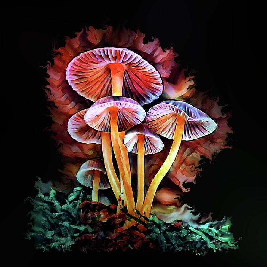 Magical Mushroom Digital Art by Artful Oasis