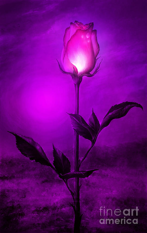 Magic Digital Art - Magical rose bud by Sofia Goldberg