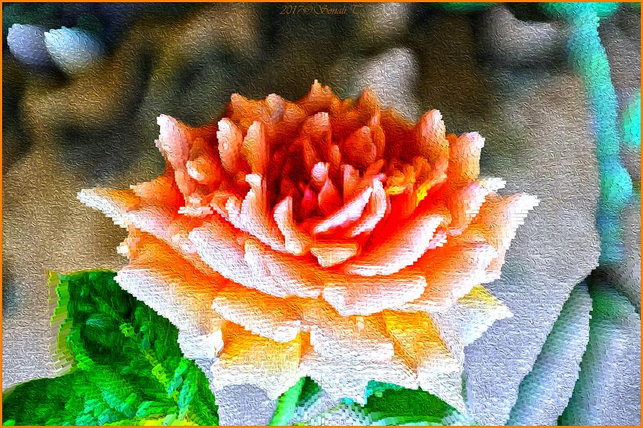 Magical Rose Digital Art by Sonali Gangane