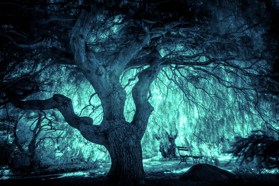 magical tree blue