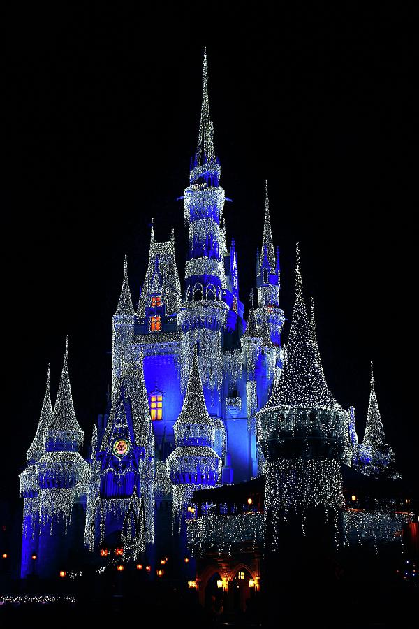 Magical by WhiteoakorganicsLLC Gallery Magical by WhiteoakorganicsLLC Gallery