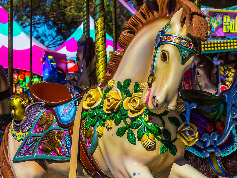 Magical Wild Carrousel Horse Photograph by Garry Gay