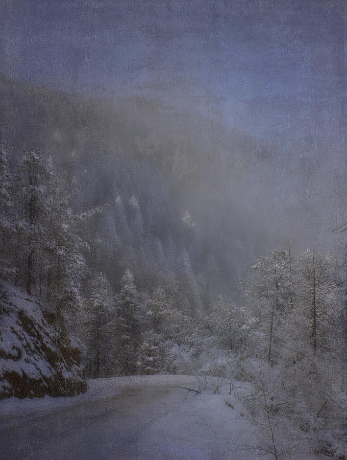 Magical Winter Day Photograph by Ellen Heaverlo