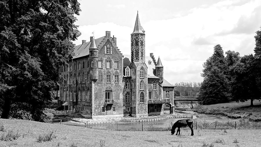 Magical Wissekerke Castle - Bazel, Belgium Digital Art by Joseph Hendrix