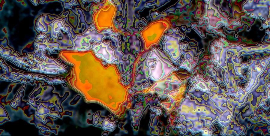 Magma Pool Digital Art by Ronald Bissett