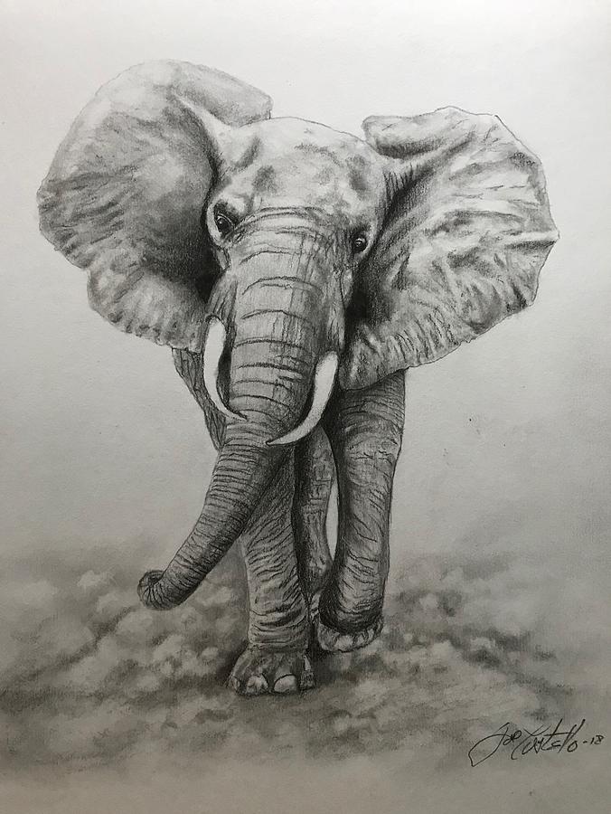 Magnificent Drawing by Joe Costello | Fine Art America