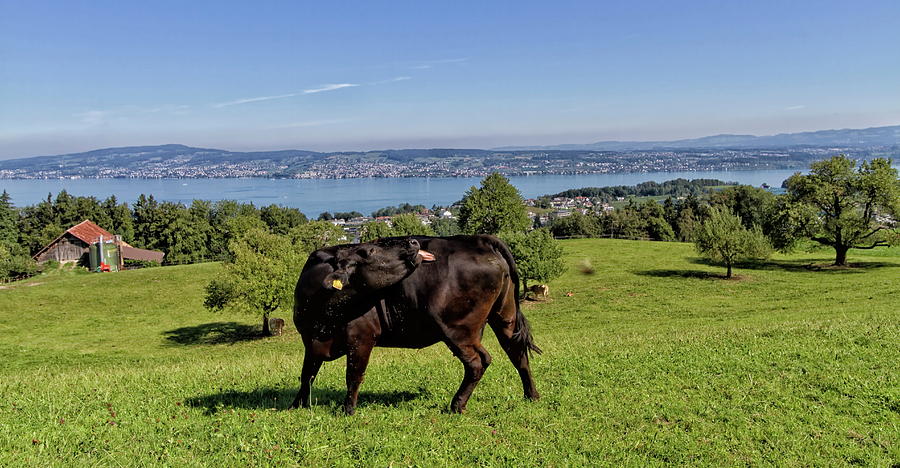 Magnificent Landscape Of Swiss Photograph