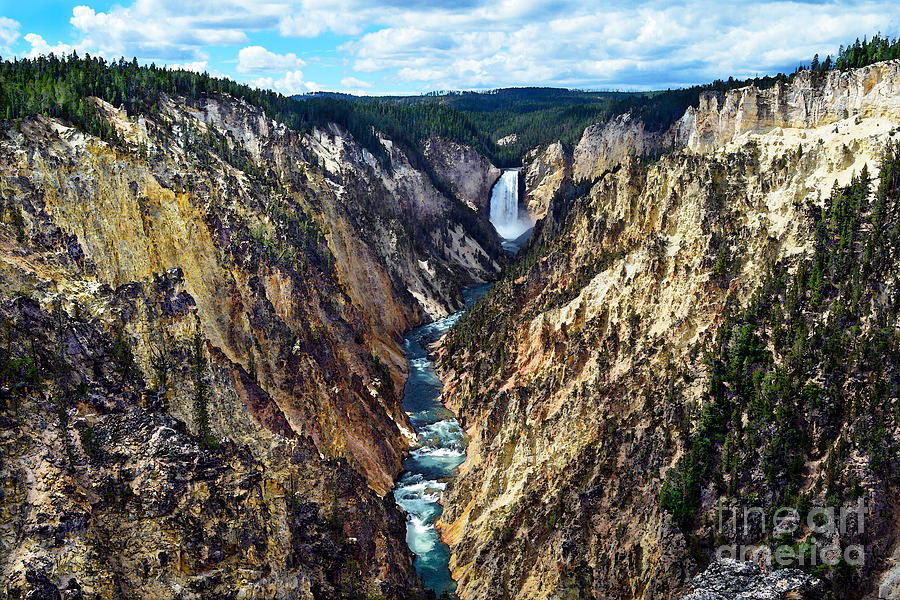 Magnificent Lower Yellowstone Falls Photograph by Catherine Sherman