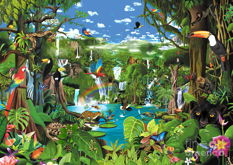 Jungle Digital Art - Magnificent Rainforest by MGL Meiklejohn Graphics Licensing