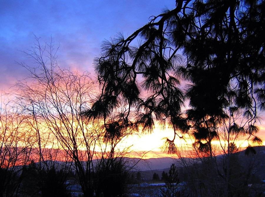 Winter Photograph - Magnificent Winter Sky by Will Borden