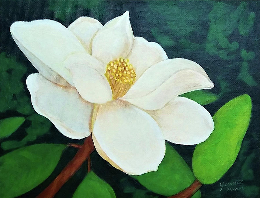 Magnolia # 1 Painting