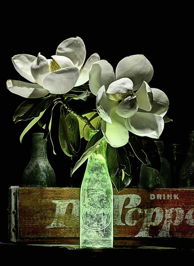 Magnolia and Dr Pepper Bottle Still Life Photograph by JC Findley