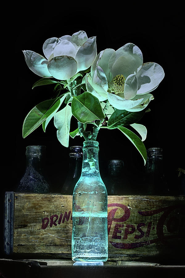 Magnolia and Pepsi Still Life Photograph by JC Findley