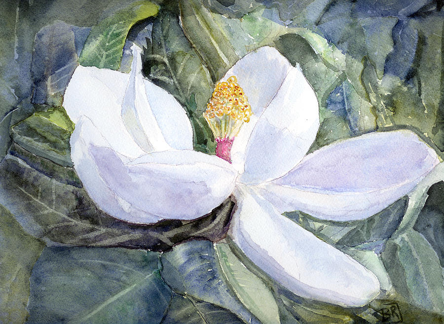 Magnolia Blossom Painting by Barry Jones