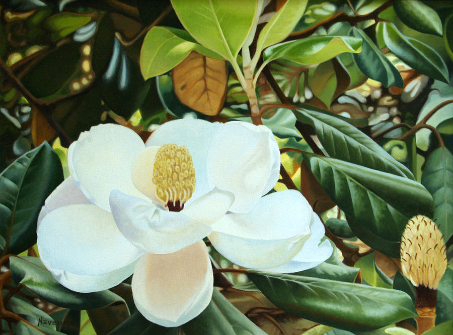 Magnolia Blossom Painting by Fred Neveu - Fine Art America