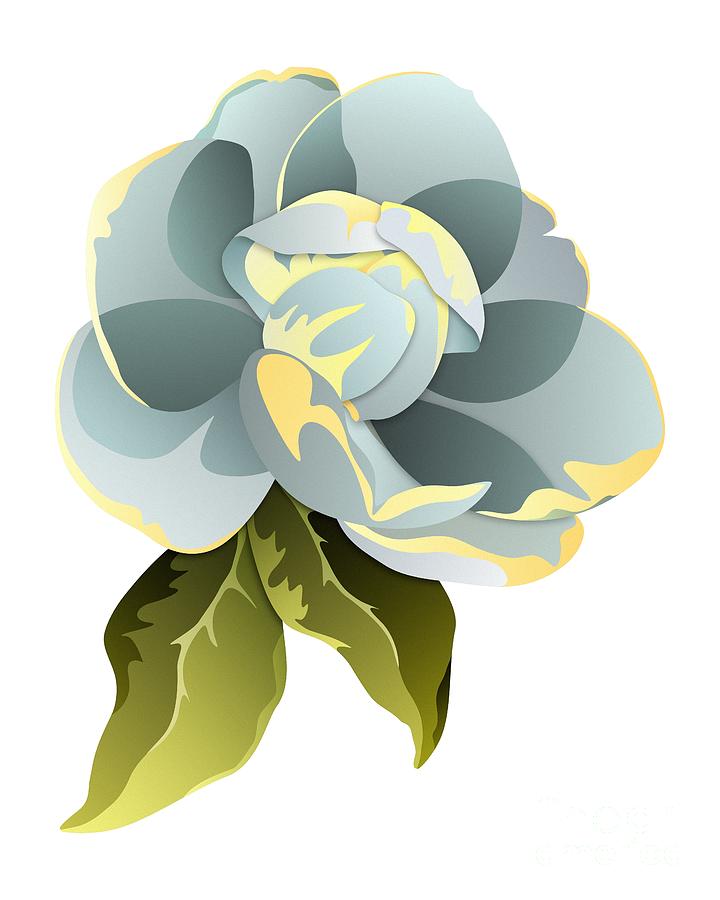 Magnolia Blossom Graphic Digital Art by MM Anderson