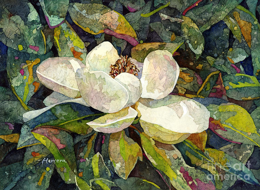 Magnolia Painting - Magnolia Blossom by Hailey E Herrera