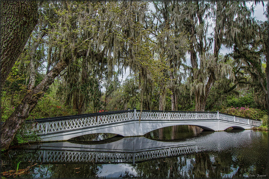 Magnolia Bridge Photograph by Erika Fawcett