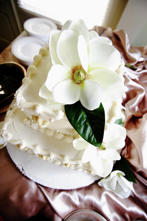 Magnolia Cake Boutique - Queensland Brides