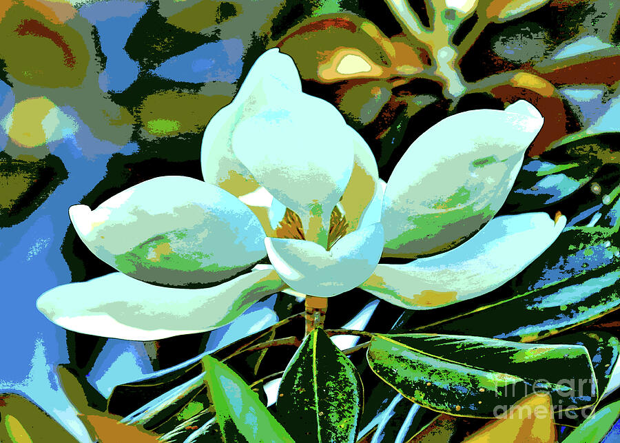 Magnolia Dream Digital Art by Carol Groenen