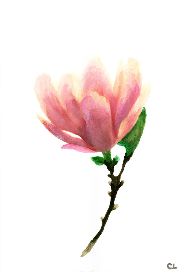 Magnolia Flower Painting by Green Palace - Fine Art America