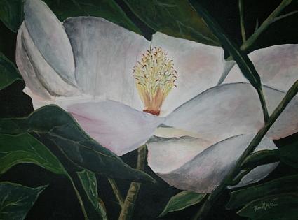 Flower Painting - Magnolia Flower Oil Painting by Derek Mccrea