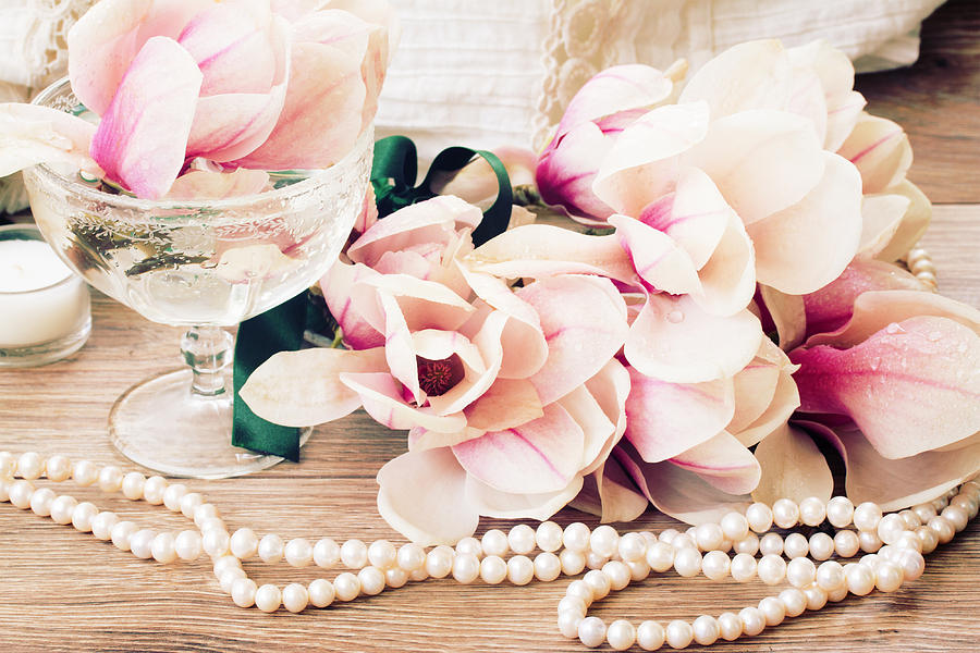 Magnolia Flowers with Pearls Photograph by Anastasy Yarmolovich