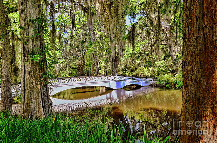 Magnolia Gardens Bridge Photograph by Allen Beatty